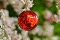 Red ball, reflected image in the red ball