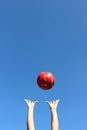 Red ball thrown in the air Royalty Free Stock Photo