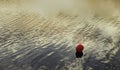 Red ball on the water under the sunlight during the sunset in the evening - cool for backgrounds