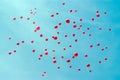 Red ballons in a blue sky Royalty Free Stock Photo