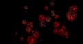 red balls and circles, water microbes and microorganisms, medicine and biology, blood microscope close-up. 3D rendering