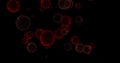 red balls and circles, water microbes and microorganisms, medicine and biology, blood microscope close-up. 3D rendering