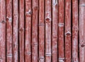 Red bamboo wall Royalty Free Stock Photo