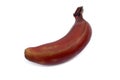 Red banana. Royalty Free Stock Photo