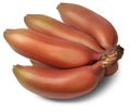 red banana, aka red dacca isolated background Royalty Free Stock Photo