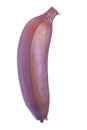 Red Banana Isolated Royalty Free Stock Photo