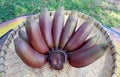 Red bananas fruit Royalty Free Stock Photo