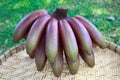 Red bananas fruit Royalty Free Stock Photo