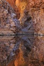 Red Bank Gorge Reflected