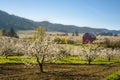 Red barn, apple orchards