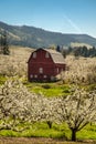 Red barn, apple orchards