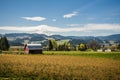 Red barn, apple orchards, Mt. Hood