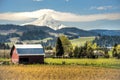 Red barn, apple orchards, Mt. Hood