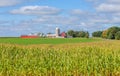 Red Barn and Buildings with Corn Field Foreground Royalty Free Stock Photo