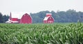Red Barn and Cornfield 8706 Royalty Free Stock Photo