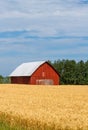 Red Barn in Field Royalty Free Stock Photo