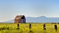 Red Barn, Golden Green Fields, Oregon Royalty Free Stock Photo