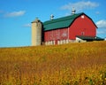 Red Barn with Golden Soybeans