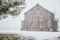 Red Barn and green tree during Winter Snowstorm in Pennsylvania Royalty Free Stock Photo