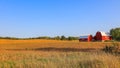 Red barn in the middle of fields in rural Michigan