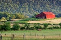 Red barn and pasture land