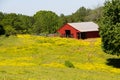 Red barn in the pasture with yellow flowers in the springtime. Royalty Free Stock Photo