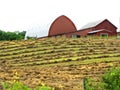 Red barn with round curved roof and just cut hay field Royalty Free Stock Photo