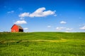 Red barn in the summer