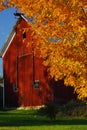 Red barn surrounded by yellow fall leaves in New England Royalty Free Stock Photo