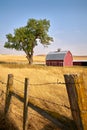 Red Barn Tree and Fence vertical