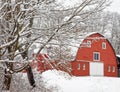 red barn and trees covered in fresh Winter white snow Royalty Free Stock Photo