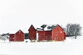 Red Barn in a White Snowy Winter Wonderland Royalty Free Stock Photo