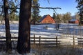 Red barn in winter with pine trees and fence Royalty Free Stock Photo