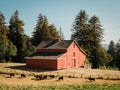 A red barn in Woodside, California Royalty Free Stock Photo