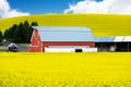 Red barn and yellow canola field with blue sky Royalty Free Stock Photo