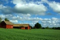 Red barns Royalty Free Stock Photo