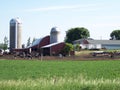 Red barns and cows on dairy farm