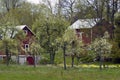 Red barns in a spring field Royalty Free Stock Photo