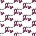 Red basil seamless pattern