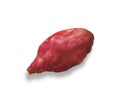 Red batatas Royalty Free Stock Photo