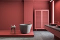 Red bathroom interior with wardrobe, tub and sink Royalty Free Stock Photo