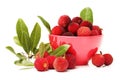 Red bayberry Royalty Free Stock Photo