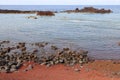 The red beach of Barro Vermelho, island of Graciosa, Azores