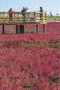 Red Beach Scenic Area