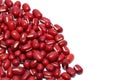 Red Bean Adzuki