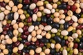 Red bean, Mung bean, Black bean, White bean, Soybean