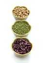 Red bean, mung beans, Peanut Royalty Free Stock Photo