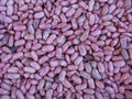 Red bean texture background. The beans are cultivated with biological agriculture in Tuscany, Italy