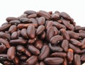 Red Beans azuki beans Royalty Free Stock Photo