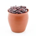 Red Beans azuki beans Royalty Free Stock Photo